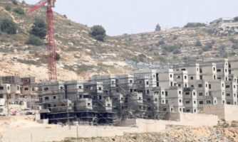 عالميًا: منظمة العفو الدولية تدعو الفيفا واليويفا لتعليق عضوية الاتحاد الإسرائيلي لكرة القدم