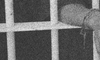 Maroc et Sahara occidental. Il faut cesser de poursuivre des militant·e·s au titre de la nouvelle loi sur l’état d’urgence sanitaire