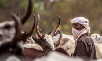Tchad. Les autorités échouent à résoudre les affrontements meurtriers entre éleveurs et agriculteurs dans un contexte de crise climatique