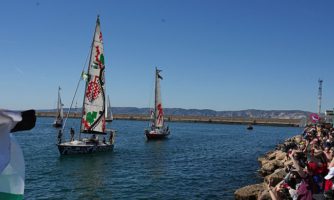 Israël/TPO. Les États doivent garantir le passage en toute sécurité de la flottille mondiale Sumud en tant que mission civile dénonçant le génocide en cours